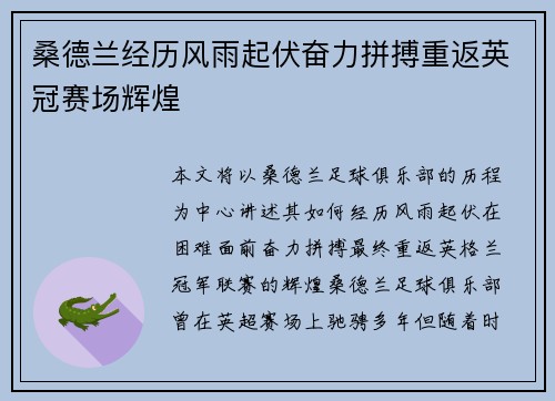 桑德兰经历风雨起伏奋力拼搏重返英冠赛场辉煌